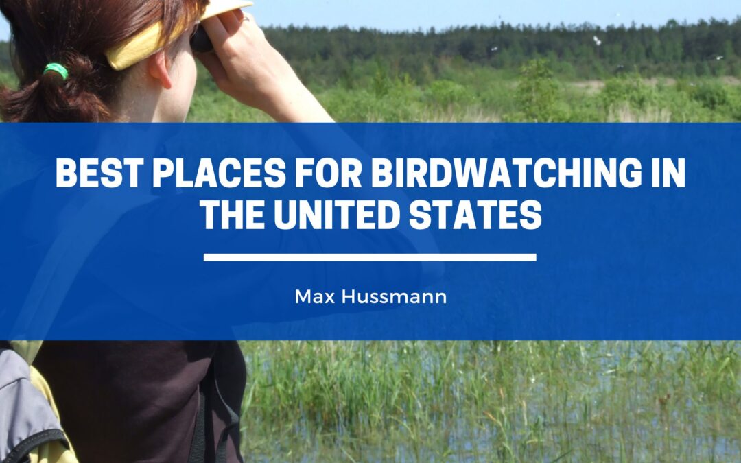 Best Places for Birdwatching Around the World